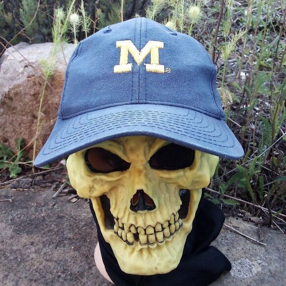 Vintage 90s Michigan Wolverines Snap Back Hat Back Hit - Picture 1 of 7